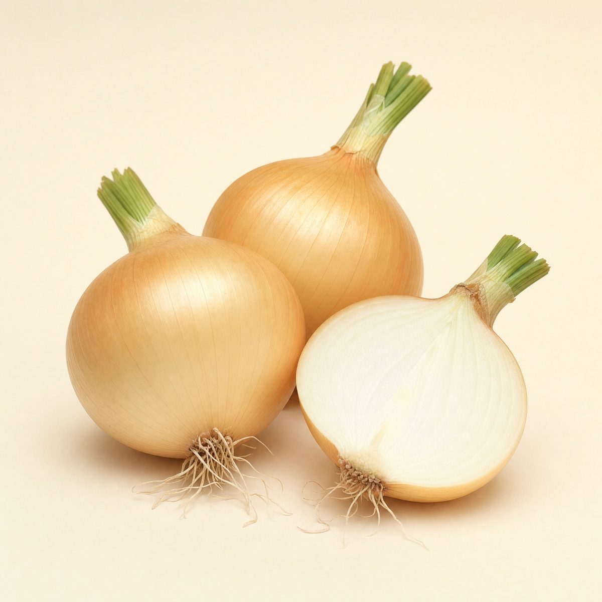Bio-Zwiebel · Babosa